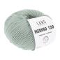 Preview: Lang Merino 120 Fb. 0092 Mint - altes Grün