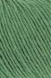 Preview: Lang Merino 120 Fb. 0317 grün melange