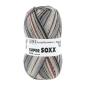 Preview: Lang Super Soxx SILK Sockenwolle 4-Fach superwash Fb.Mönch