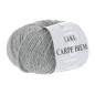 Preview: Langyarns Carpe Diem Fb. 303 Grau Melange