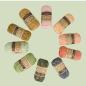 Preview: Scheepjes Stone Washed Colour Pack Intentions