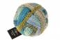 Preview: Zauberball®Crazy 2355 Gartenparty 75% Schurwolle (Strong Quality, superwash) 25% Polyamid (biologisch abbaubar)