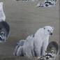 Preview: Stenzo Jersey Bären auf grauen Hintergrund