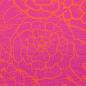 Preview: Jersey Baumwolle 95% BW 5% EA Primavera Pink von Swafing