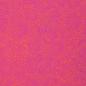 Preview: Jersey Baumwolle 95% BW 5% EA Primavera Pink von Swafing