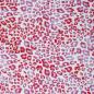 Preview: Jersey Baumwolle Madrid Leo Print weiß-pink by Swafing