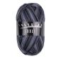 Preview: Trekking 4-fach Color Sockenwolle Fb. 730 von Atelier Zitron