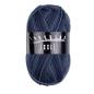 Preview: Trekking 4-fach Color Sockenwolle Fb. 731 von Atelier Zitron