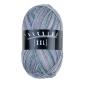 Preview: Trekking 4-fach Color Sockenwolle Fb. 815 von Atelier Zitron