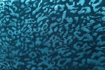 Jacquard Jersey Leo Ausbrenner Fb. Petrol