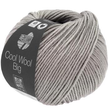 Cool Wool Big Fb. 1626 Graubeige meliert