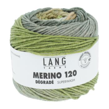 Merino 120 degrade superwash Fb. 14 olive-grau-mais