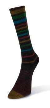 Laines du Nord Infinity Sock Fb. 16 braun mit Verlauf