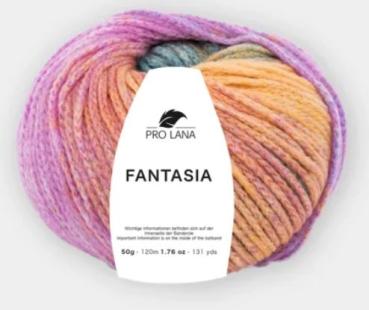 Fantasia Merino-Kettgarn Fb. 186 Orange-Pink-grün von Pro Lana