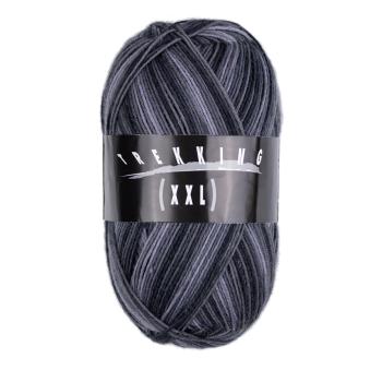 Trekking 4-fach Color Sockenwolle Fb. 730 von Atelier Zitron