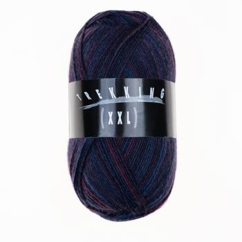 Trekking 4-fach Color Sockenwolle Fb. 793 Lila von Atelier Zitron