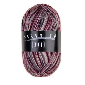 Trekking 4-fach Color Sockenwolle Fb. 823 von Atelier Zitron