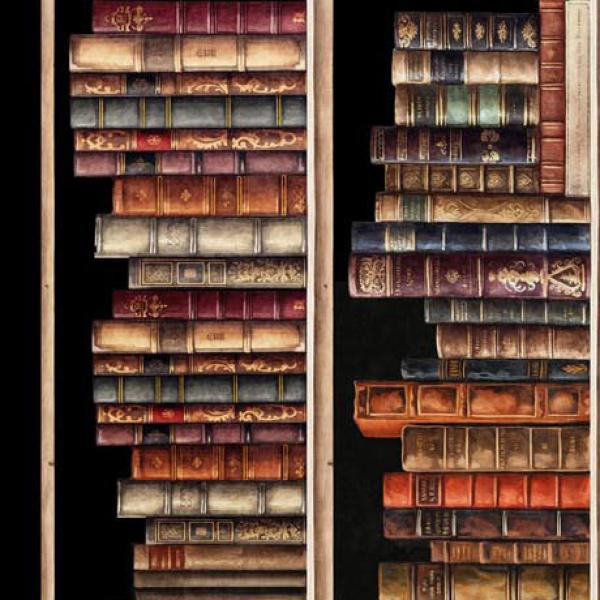 Patchworkbaumwolle Bookworm Book shelves Stripe von Quilting Treasures