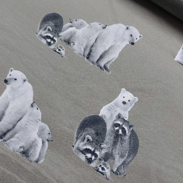 Stenzo Jersey Bären auf grauen Hintergrund