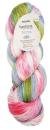 Symfonie Terra variegated 1x100g Strickgarn Fb. Summer Romance von KnitPro