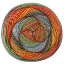 Gomitolo Modo Fb. 625 Graurot/Rot/Orange/Safrangelb/Khaki/Hellgrau/ Graublau/Graugrün/Oliv