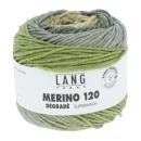 Merino 120 degrade superwash Fb. 14 olive-grau-mais