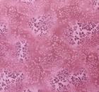 Patchworkbaumwolle Fusions Fb. Himbeererosa von Robert Kaufman