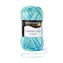 Baumwollgarn Catania Color Fb. 53 mint-grün-blau von Schachenmayr