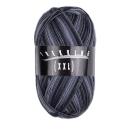 Trekking 4-fach Color Sockenwolle Fb. 730 von Atelier Zitron