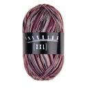 Trekking 4-fach Color Sockenwolle Fb. 823 von Atelier Zitron